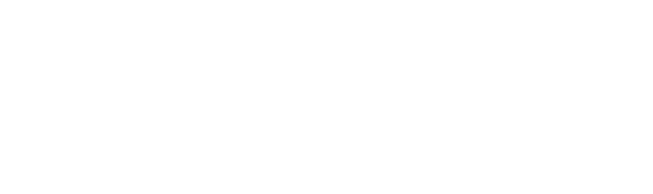 ONYX Procurement Solutions